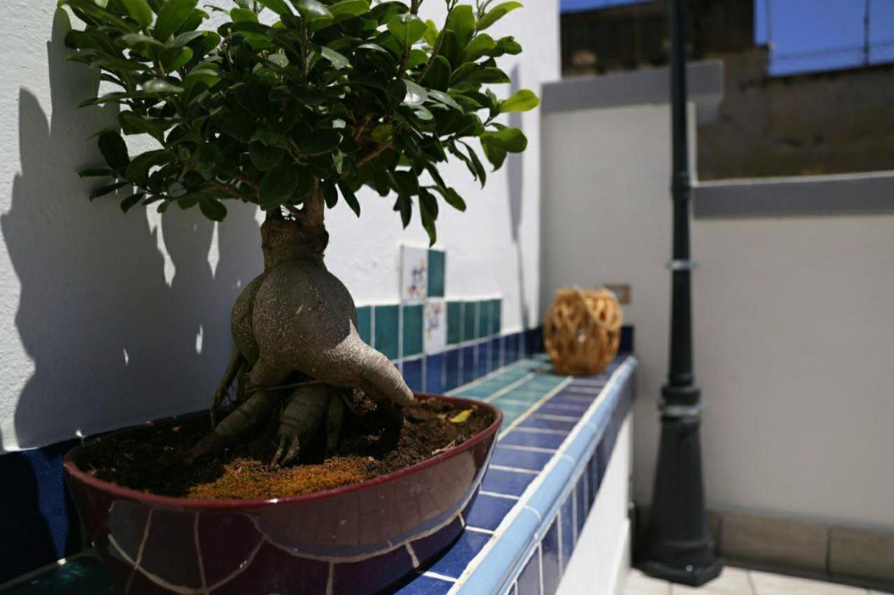 La Dukesca Chic Appartement